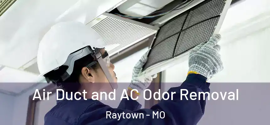 Air Duct and AC Odor Removal Raytown - MO