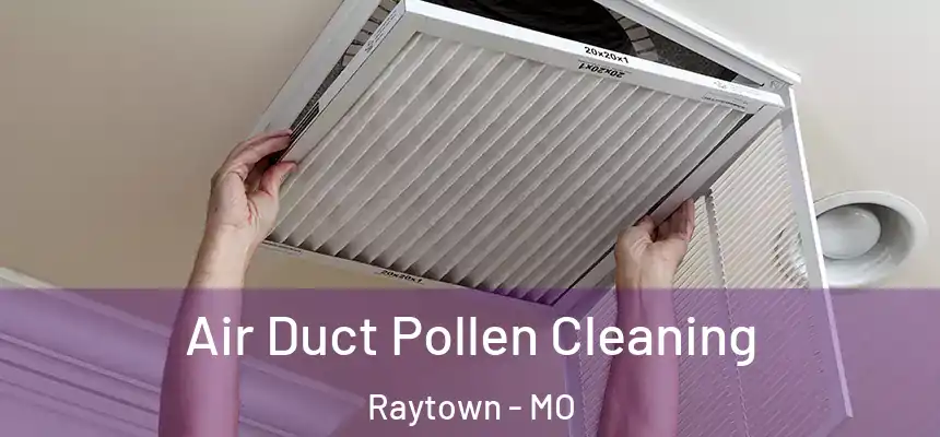 Air Duct Pollen Cleaning Raytown - MO