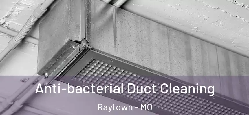 Anti-bacterial Duct Cleaning Raytown - MO