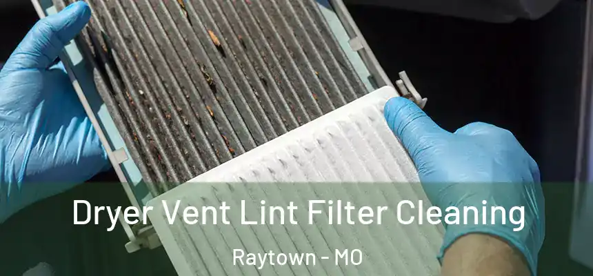  Dryer Vent Lint Filter Cleaning Raytown - MO