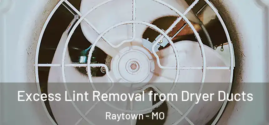  Excess Lint Removal from Dryer Ducts Raytown - MO