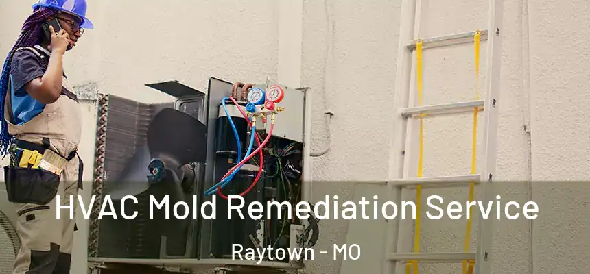 HVAC Mold Remediation Service Raytown - MO