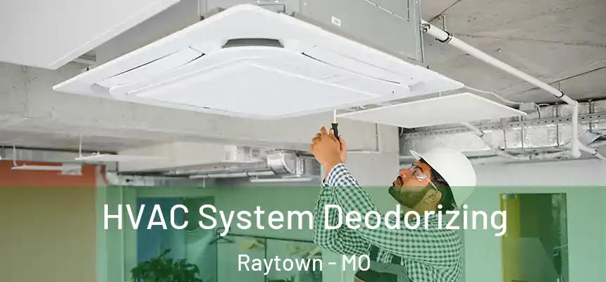  HVAC System Deodorizing Raytown - MO