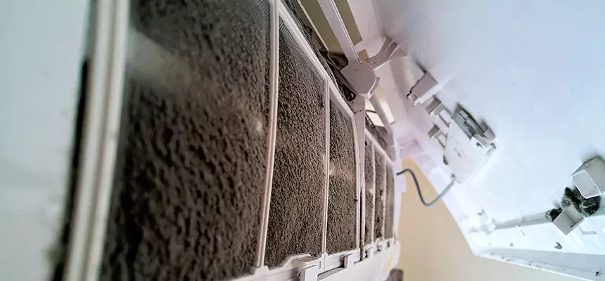 Preventive Air Duct Bacteria Removal in Raytown