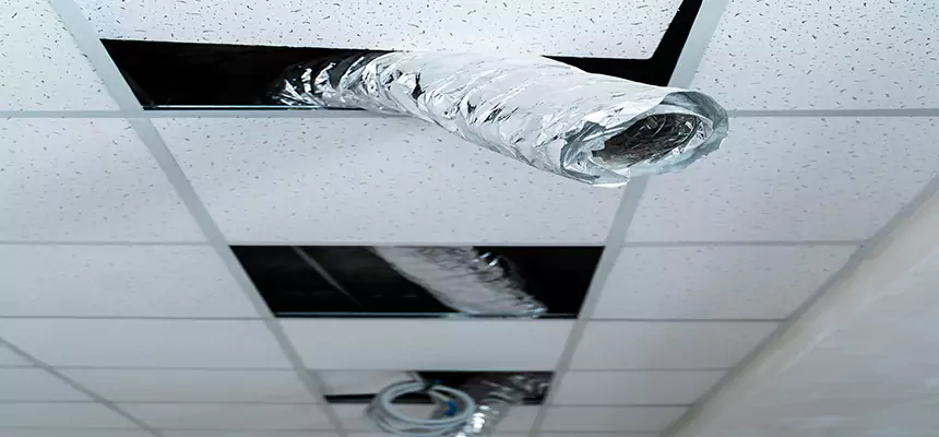 Affordable HVAC Sanitizing After Pest Removal in Raytown