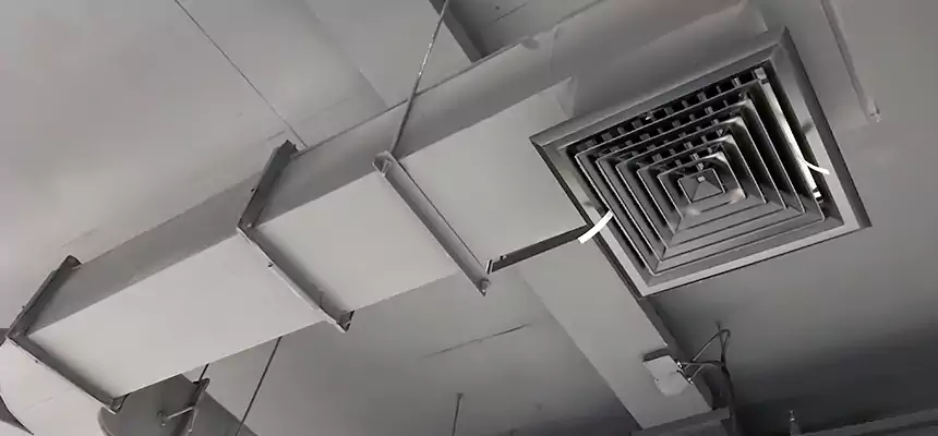 Restorative Allergy Relief Vent Cleaning – Coil, Blower & Housing Detail in Raytown