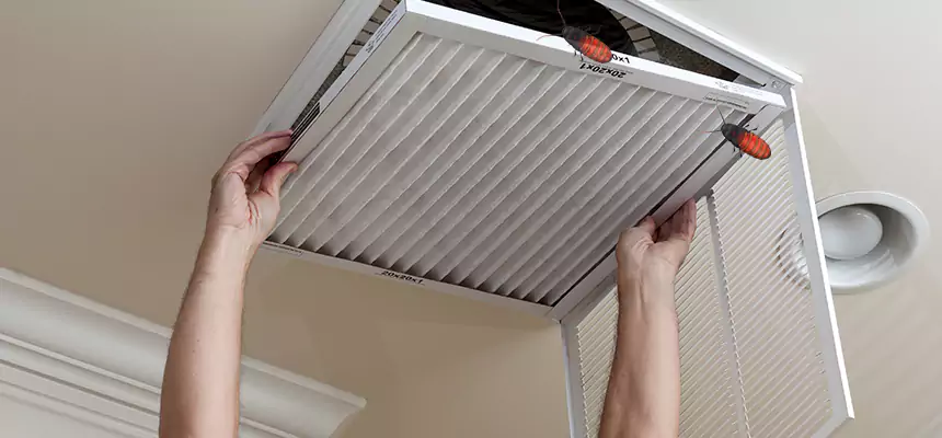 Our Insect Removal from Air Ducts Services in Raytown, MO