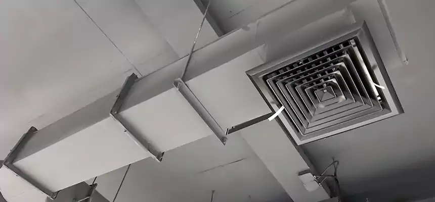 Our Pest Removal From Ducts Services in Raytown, MO