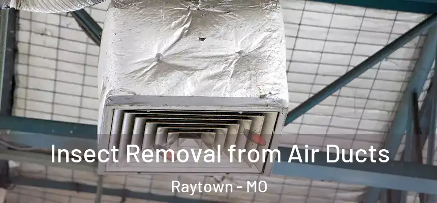 Insect Removal from Air Ducts Raytown - MO