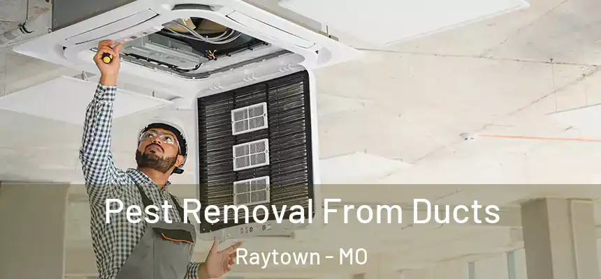  Pest Removal From Ducts Raytown - MO