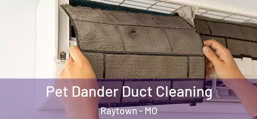 Pet Dander Duct Cleaning Raytown - MO