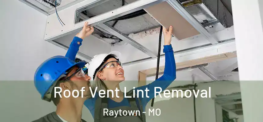  Roof Vent Lint Removal Raytown - MO