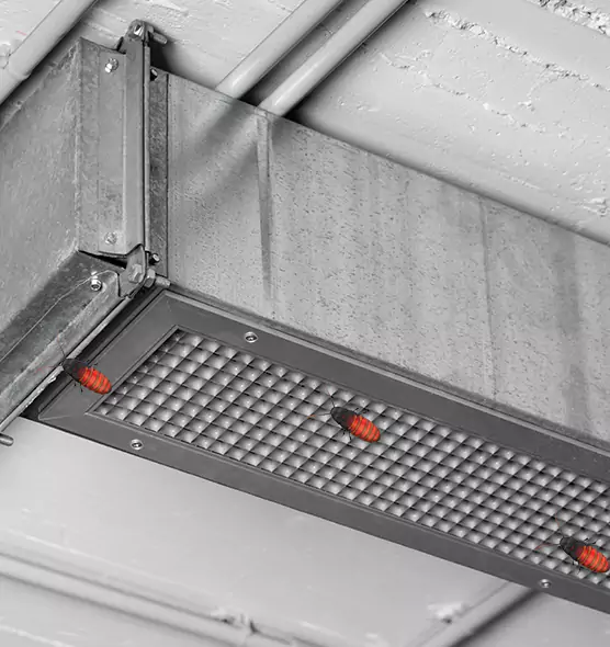 About Air Duct Cockroach Removal in Raytown, MO