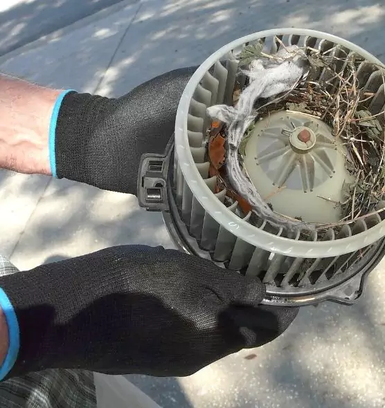 About Air Duct Rat Removal in Raytown, MO