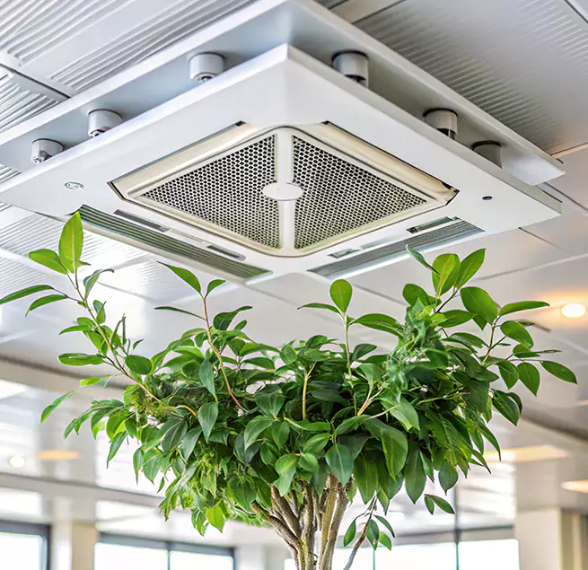 Why Homeowners & Businesses Trust Us in Raytown, MO