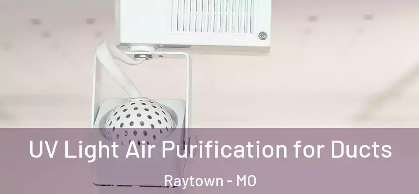  UV Light Air Purification for Ducts Raytown - MO